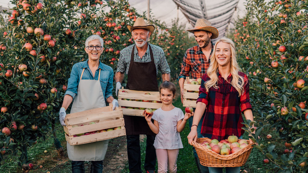 Who we help - Agriculture and farming families